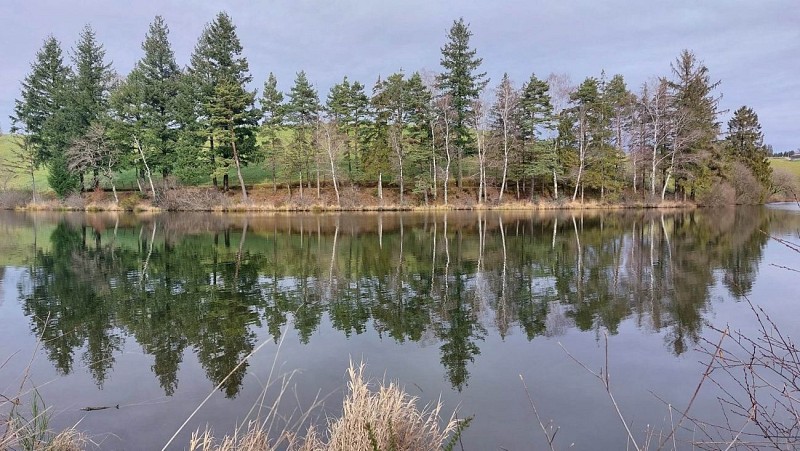 Forellenvijver Le Moulinier