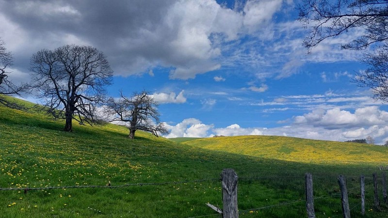 Forellenvijver Le Moulinier
