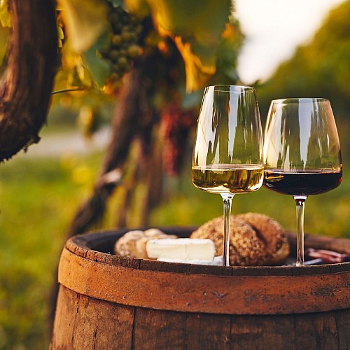 Balade vigneronne du domaine Heyraud