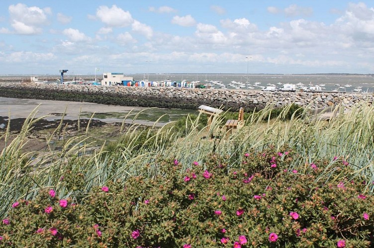 PAUSE DESSIN AU PORT DE GRAVETTE