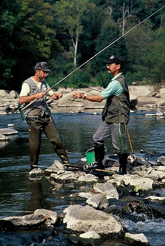 Fédération de pêche de la Mayenne