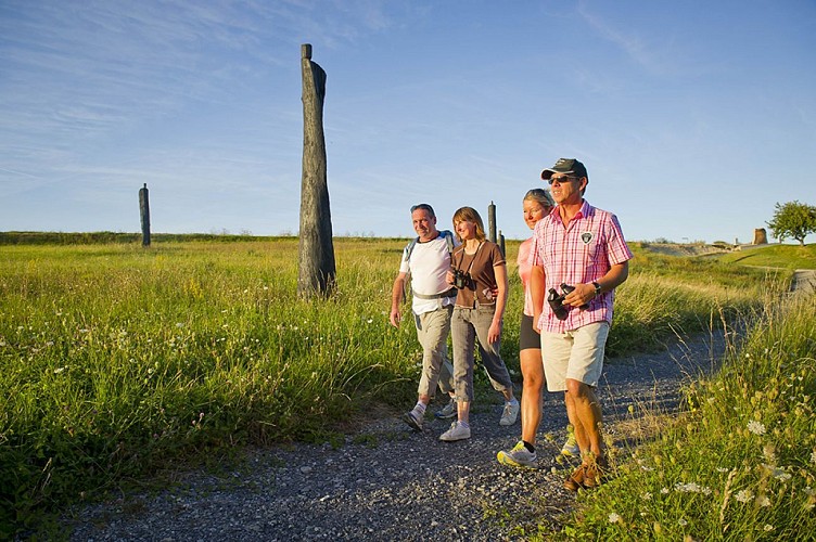 Sculptures de Christian Lapie II