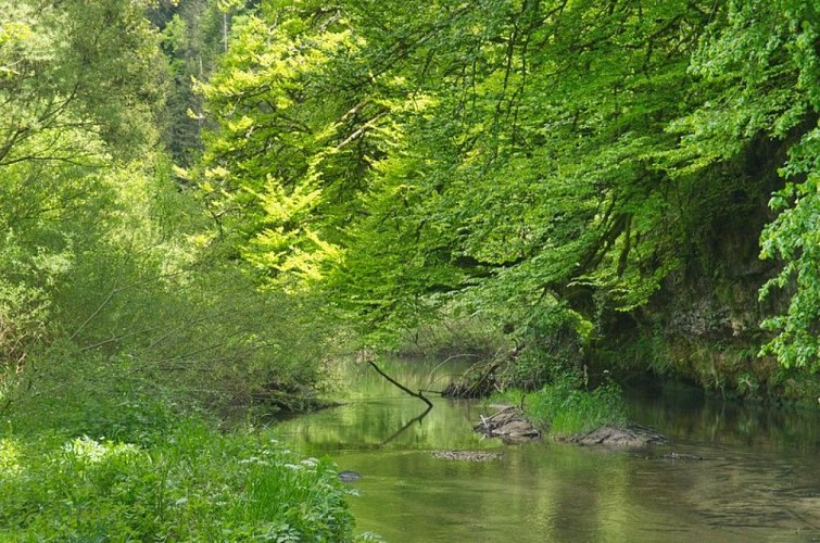 La Vernaison à Bobache