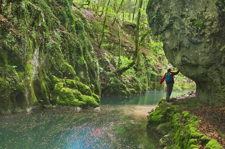 La vernaison à Bobache