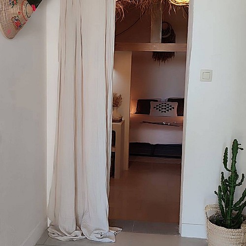 802386_383994720_336324012252942_985538086305452384_n