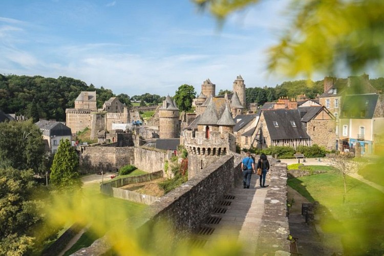 Château de Fougères 