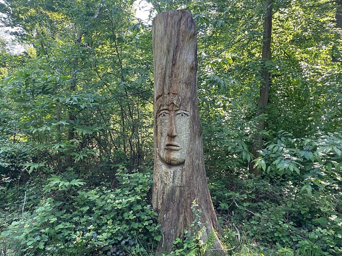 arbre sculpté - Daniel STINUS