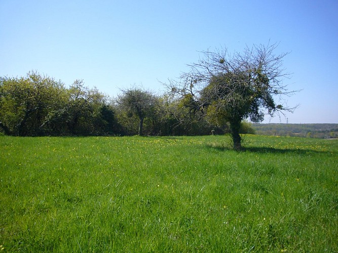 image du object