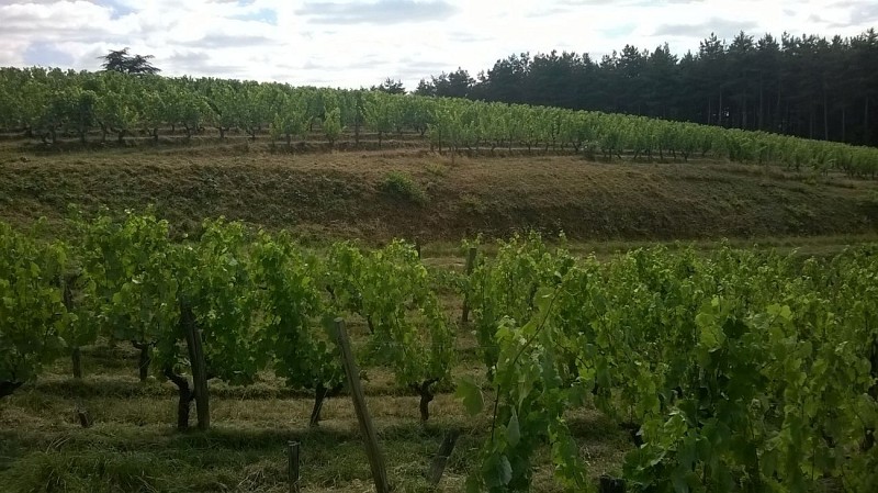 Domaine de Rochambeau