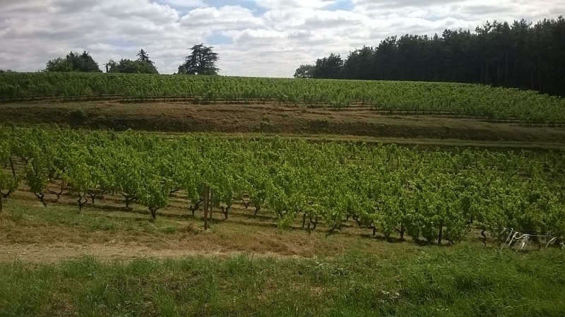 Domaine de Rochambeau