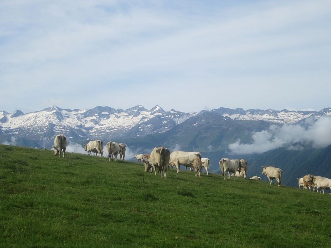 FERME AUBERGE CHEZ JUSTAU