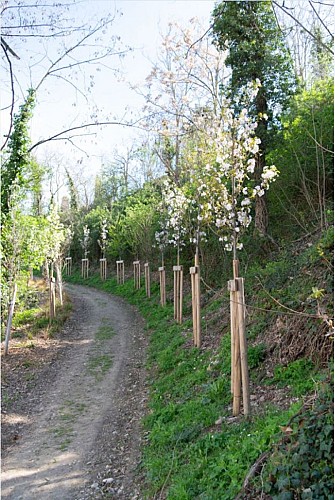 Parc François Mitterrand - Belvédère St Romain
