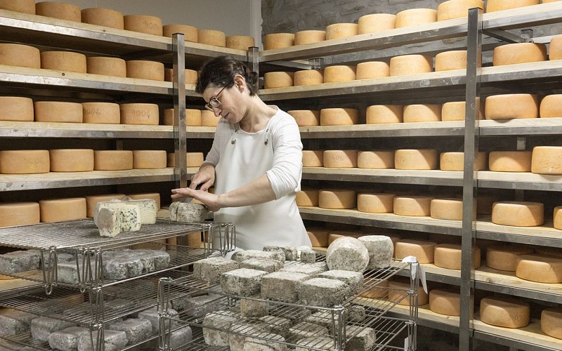 fromage-coupe