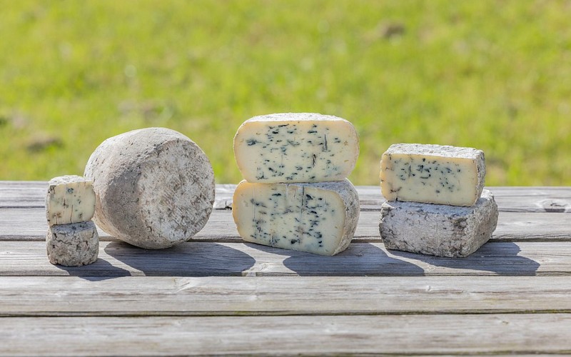 fromage-carolpro