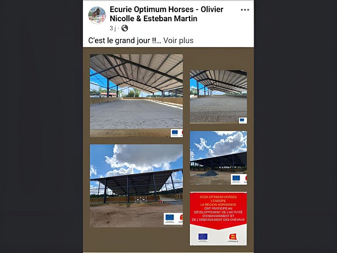 ecurie optimum horses - 1