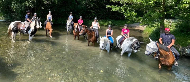 Balade Ecurie Optimum Horses 