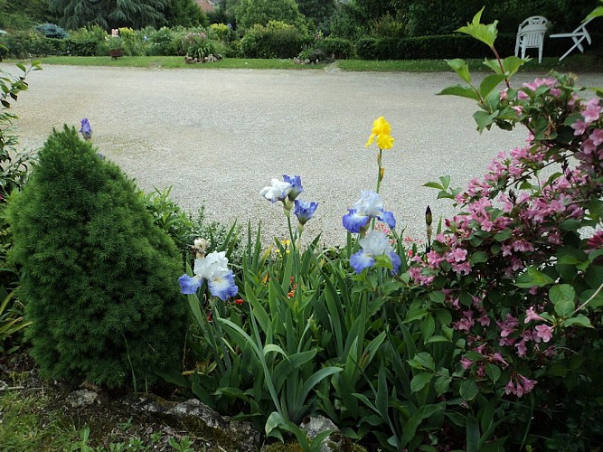 Les Iris - Sarlat (9)