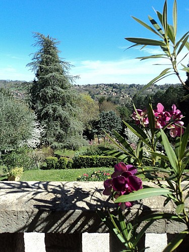 Les Iris - Sarlat (4)