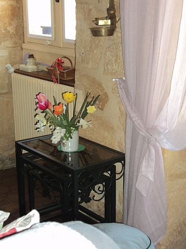 Les Iris - Sarlat (1)