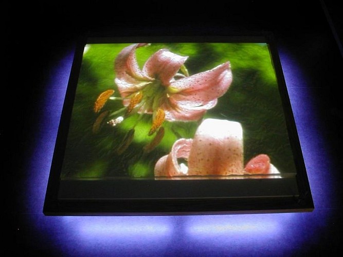 The Maison de la Pinatelle scenographic Display site about the Cantal’s volcanic landscape