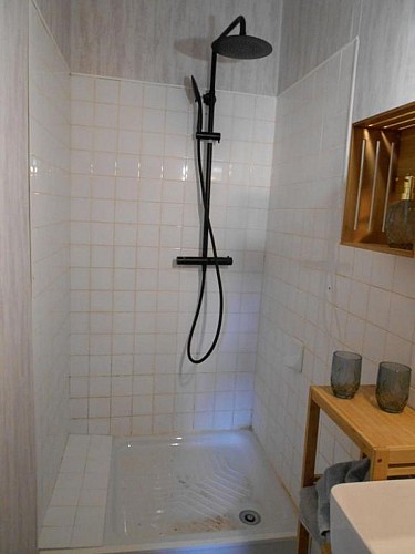 Gite Maison de Laurent à Saints-en-Puisaye (15)