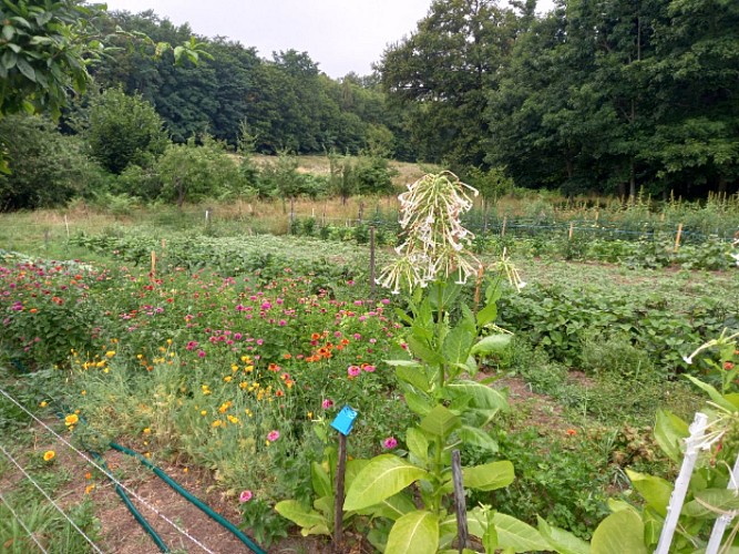 Gîte La Férandie, Chéronnac, Périgord-Limousin