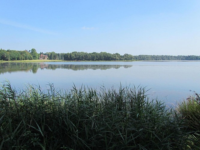 Le Refuge de Brocéliande