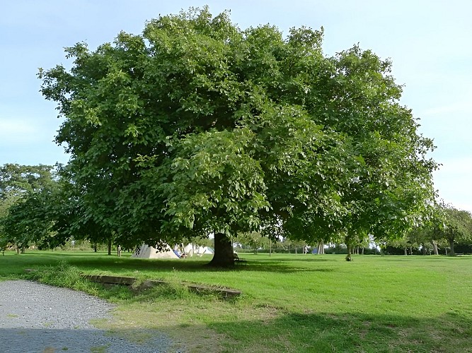 camping chez la Fontaine