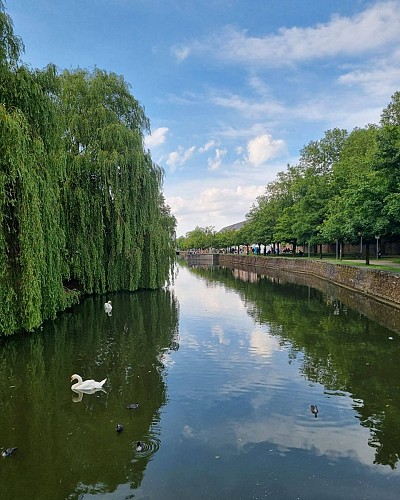 la guinguette des quais environnement nature 2024