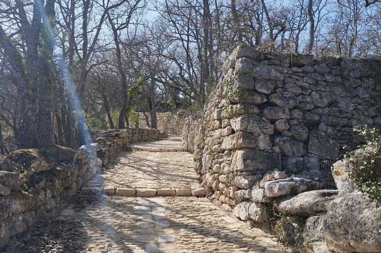 Rue pavée à pas-d'âne
