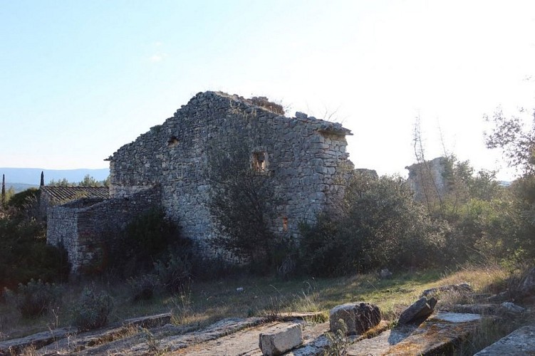 Ancienne habitation en pierre sèche