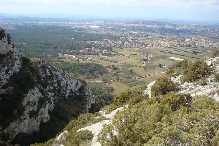 Forêts de la combe de Badarel aux Taillades