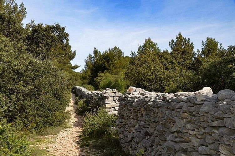 Mur de la Peste sur Les Taillades