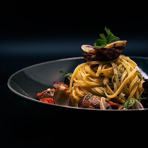 483526733_1000933332097212_6303506495594671687_n