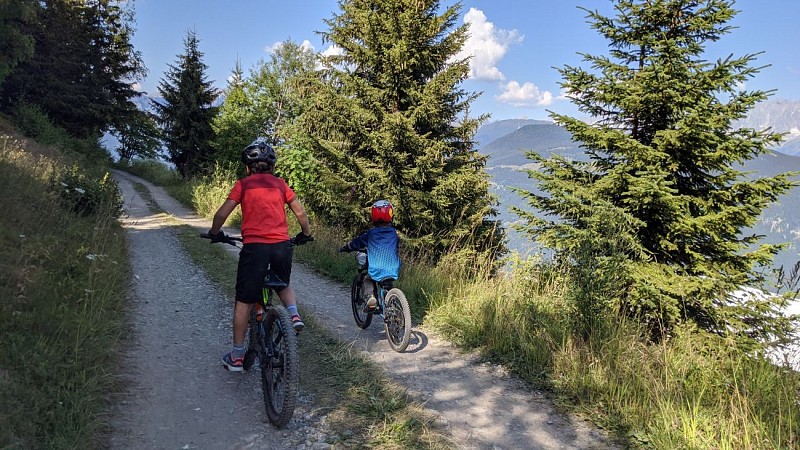 Asters MTB