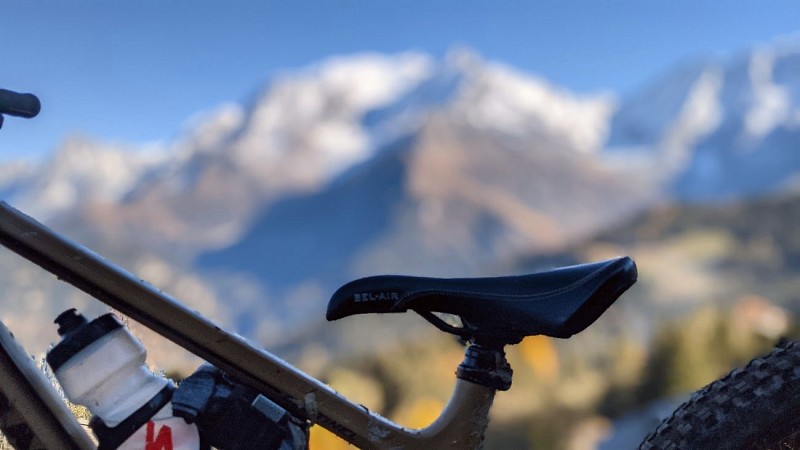 Asters MTB