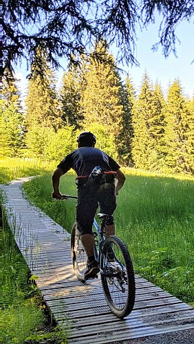 Asters MTB