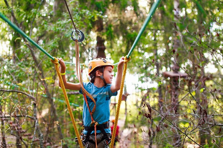 Tree top adventure course