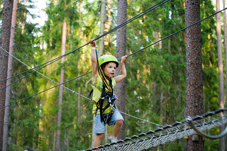 Tree top adventure course