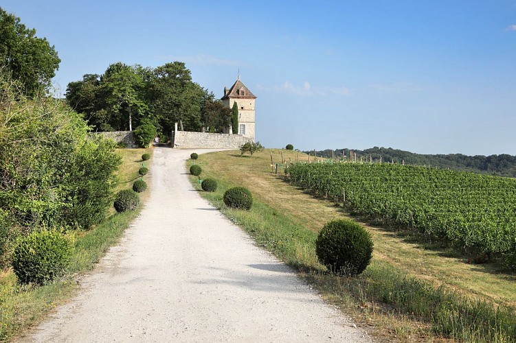 Château Labastide Orliac