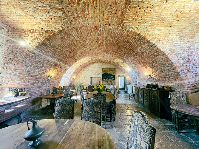 Château de Goudourville