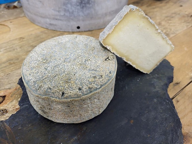 La Chèvrerie du Lac - Goat cheese