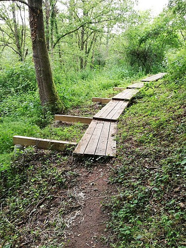 Balade insolite de St-Mayeul