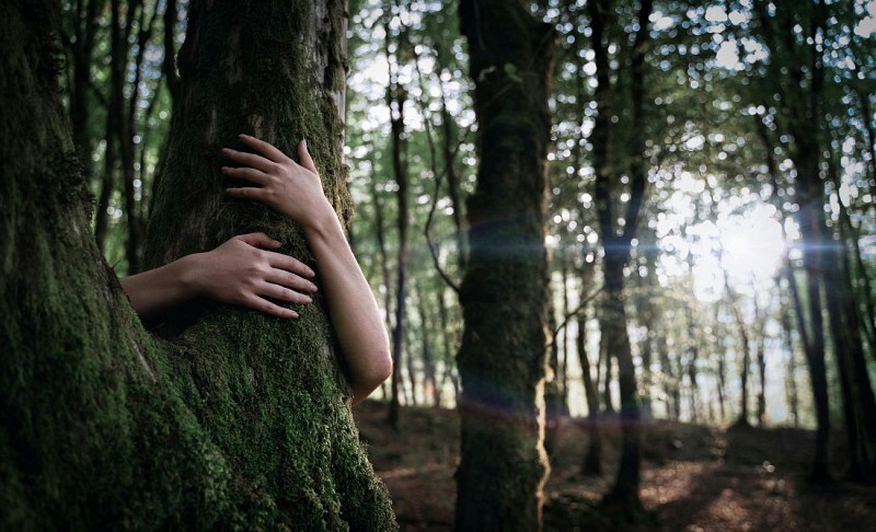 Pexels-ilya-perelude-85999447-8936579