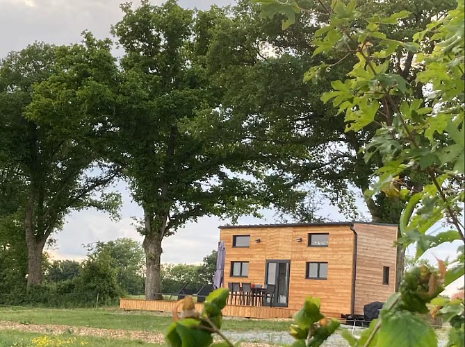 La Tiny de Tout Joly