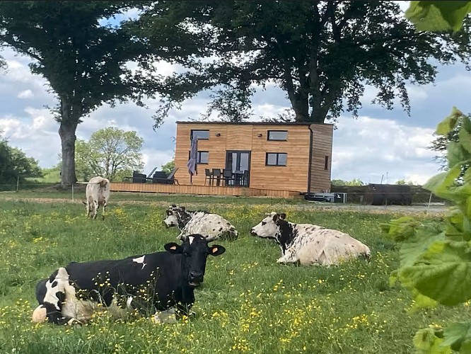 La Tiny de Tout Joly