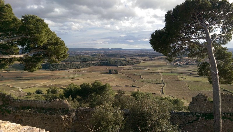 Le Castellas de Montpeyroux - Une superbe enceinte médiévale fortifiée