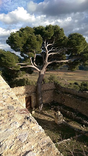 Le Castellas de Montpeyroux - Une superbe enceinte médiévale fortifiée