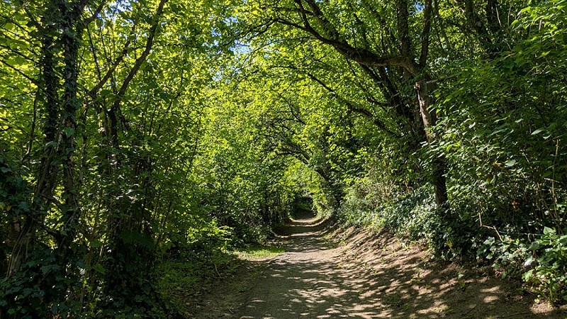 Ruelle de la Fontaine Saint-Just II