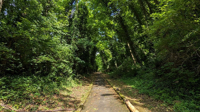 Petit chemin de la Neuville à Gaillot II